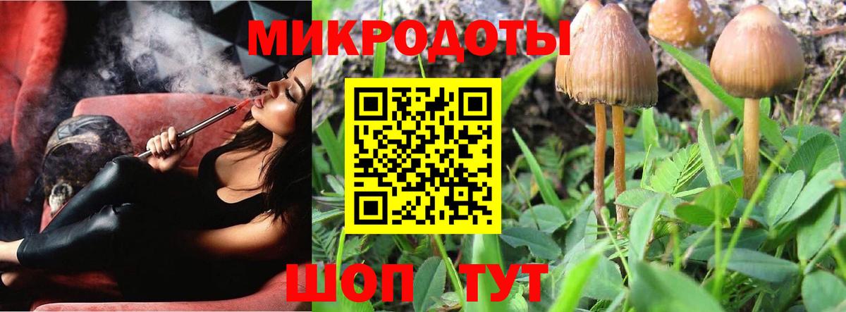 Галлюциногенные грибы мицелий Шали