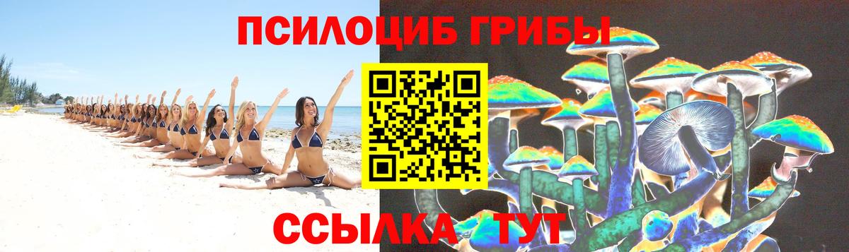 Шали  где можно купить наркотик  Вход с VPN  Галлюциногенные грибы прущие грибы 